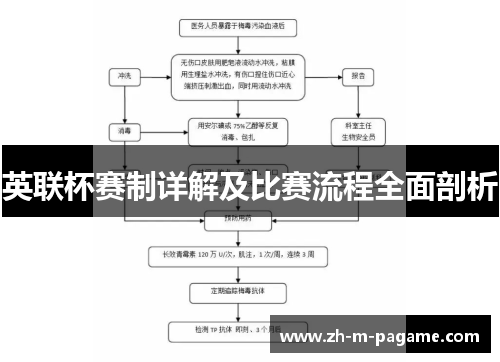 英联杯赛制详解及比赛流程全面剖析