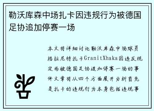 勒沃库森中场扎卡因违规行为被德国足协追加停赛一场